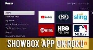 How to Install Showbox on Roku in 3 Minutes (2019)