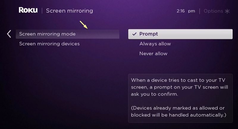 screen mirroring mode