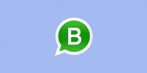 How to Have a Commercial Presence on WhatsApp with the WhatsApp Business App